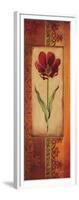 Mediterranean Tulip I-Kimberly Poloson-Framed Art Print