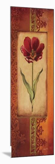 Mediterranean Tulip I-Kimberly Poloson-Mounted Art Print