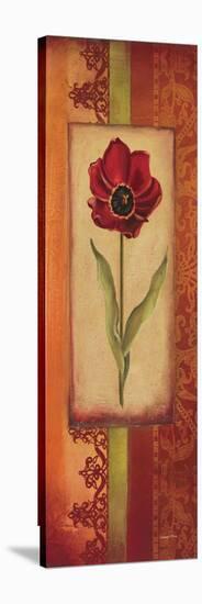 Mediterranean Tulip II-Kimberly Poloson-Stretched Canvas