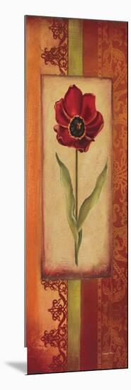 Mediterranean Tulip II-Kimberly Poloson-Mounted Art Print