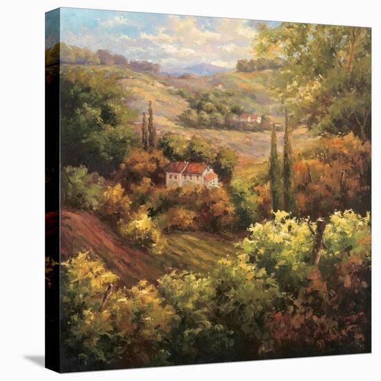 Mediterranean Valley Farm-Hulsey-Stretched Canvas