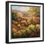 Mediterranean Valley Farm-Hulsey-Framed Art Print