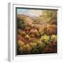 Mediterranean Valley Farm-Hulsey-Framed Art Print