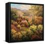 Mediterranean Valley Farm-Hulsey-Framed Stretched Canvas