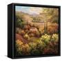 Mediterranean Valley Farm-Hulsey-Framed Stretched Canvas