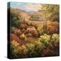 Mediterranean Valley Farm-Hulsey-Stretched Canvas