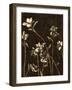 Medium Blossom Nocturne I-Megan Meagher-Framed Art Print