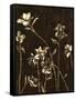 Medium Blossom Nocturne I-Megan Meagher-Framed Stretched Canvas