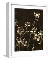 Medium Blossom Nocturne II-Megan Meagher-Framed Art Print