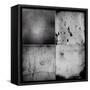 Medium Format Film Frames-Taigi-Framed Stretched Canvas