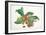 Medlar and Fruit-Carlos Von Riefel-Framed Art Print