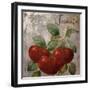 Medley_Gold_Tomato-null-Framed Giclee Print