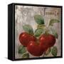 Medley_Gold_Tomato-null-Framed Stretched Canvas