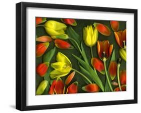 Medley of Colorful Tulips Isolated-Christian Slanec-Framed Photographic Print