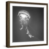 Medusa 1-Moises Levy-Framed Photographic Print