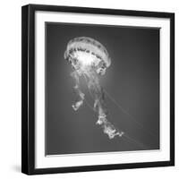 Medusa 1-Moises Levy-Framed Photographic Print