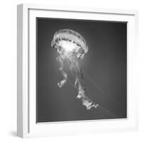 Medusa 1-Moises Levy-Framed Photographic Print