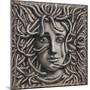 Medusa, 2018-P.J. Crook-Mounted Giclee Print