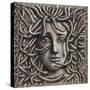 Medusa, 2018-P.J. Crook-Stretched Canvas