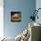 Medusa Cloud-Philippe Sainte-Laudy-Stretched Canvas displayed on a wall