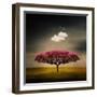 Medusa Cloud-Philippe Sainte-Laudy-Framed Premium Photographic Print