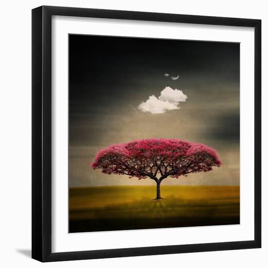 Medusa Cloud-Philippe Sainte-Laudy-Framed Premium Photographic Print