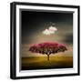 Medusa Cloud-Philippe Sainte-Laudy-Framed Premium Photographic Print