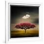 Medusa Cloud-Philippe Sainte-Laudy-Framed Premium Photographic Print