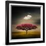 Medusa Cloud-Philippe Sainte-Laudy-Framed Premium Photographic Print