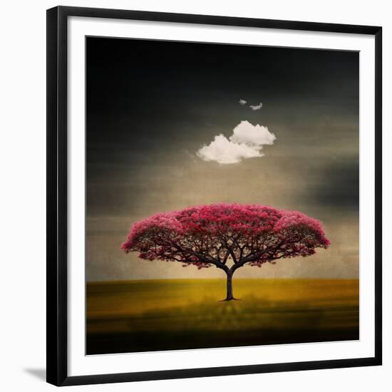 Medusa Cloud-Philippe Sainte-Laudy-Framed Premium Photographic Print