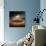 Medusa Cloud-Philippe Sainte-Laudy-Mounted Premium Photographic Print displayed on a wall