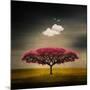 Medusa Cloud-Philippe Sainte-Laudy-Mounted Premium Photographic Print