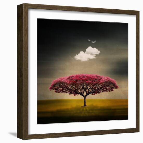 Medusa Cloud-Philippe Sainte-Laudy-Framed Photographic Print