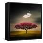 Medusa Cloud-Philippe Sainte-Laudy-Framed Stretched Canvas