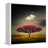 Medusa Cloud-Philippe Sainte-Laudy-Framed Stretched Canvas