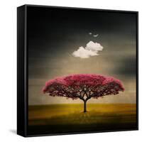 Medusa Cloud-Philippe Sainte-Laudy-Framed Stretched Canvas
