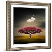 Medusa Cloud-Philippe Sainte-Laudy-Framed Photographic Print