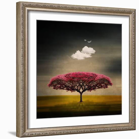 Medusa Cloud-Philippe Sainte-Laudy-Framed Photographic Print