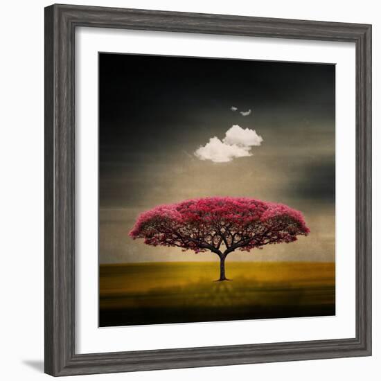 Medusa Cloud-Philippe Sainte-Laudy-Framed Photographic Print