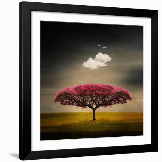 Medusa Cloud-Philippe Sainte-Laudy-Framed Photographic Print