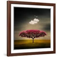 Medusa Cloud-Philippe Sainte-Laudy-Framed Photographic Print