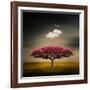 Medusa Cloud-Philippe Sainte-Laudy-Framed Photographic Print