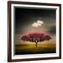 Medusa Cloud-Philippe Sainte-Laudy-Framed Photographic Print