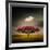 Medusa Cloud-Philippe Sainte-Laudy-Framed Photographic Print