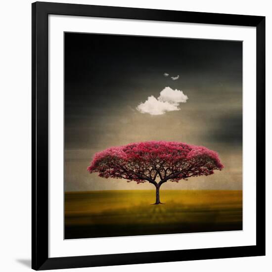 Medusa Cloud-Philippe Sainte-Laudy-Framed Photographic Print