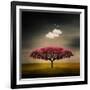 Medusa Cloud-Philippe Sainte-Laudy-Framed Photographic Print