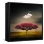 Medusa Cloud-Philippe Sainte-Laudy-Framed Stretched Canvas