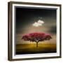 Medusa Cloud-Philippe Sainte-Laudy-Framed Giclee Print