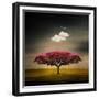 Medusa Cloud-Philippe Sainte-Laudy-Framed Giclee Print