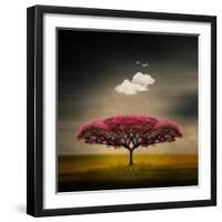 Medusa Cloud-Philippe Sainte-Laudy-Framed Giclee Print